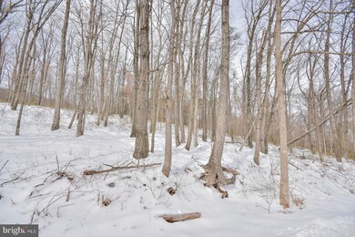 2965 Hampshire Grade Rd, Hedgesville, WV 25427 - photo 3