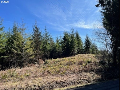 0 John Lee Rd, Buxton, OR 97109 - photo 6