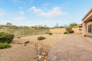 36 - Cactus Wren