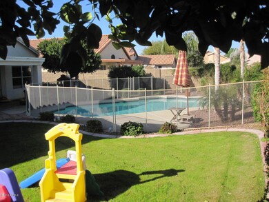 Great backyard