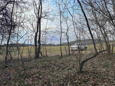 13 Allure Ln, Mountain View, AR 72560 - photo 4