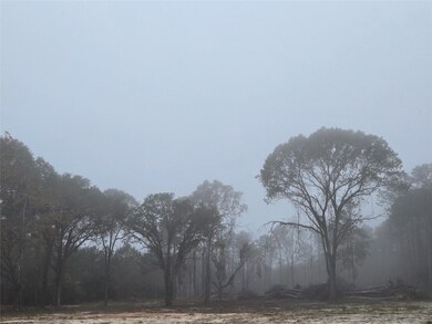 1017 County Road 3325, Colmesneil, TX 75938 - photo 6