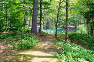 233 Fox Hill Rd unit 38, Stowe, VT 05672 - photo 6