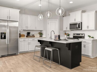 15211 Scoter St unit 25, Charlotte, NC 28262 - photo 2