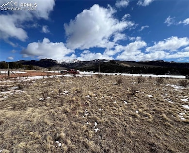 11893 Colorado 67, Divide, CO 80814 - photo 6
