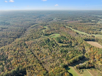 7489 Shoals Branch Rd, Primm Springs, TN 38476 - photo 2