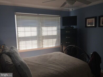 6623 10th St unit B2, Alexandria, VA 22307 - photo 7