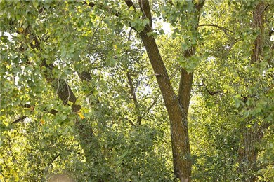 0 E 225 Ln, Ridgeway, MO 64481 - photo 6