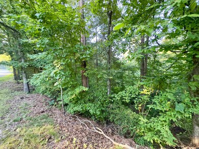 0 Old Latham Rd unit RRA45788, Dresden, TN 38225 - photo 5