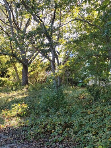 91 Carol Lane Includes 2 Adjacent Lots unit includes 2 adjacent, Oak Bluffs, MA 02557 - photo 3