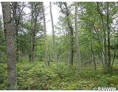 0 Hwy Ff unit 881004, Webster, WI 54893 - photo 5