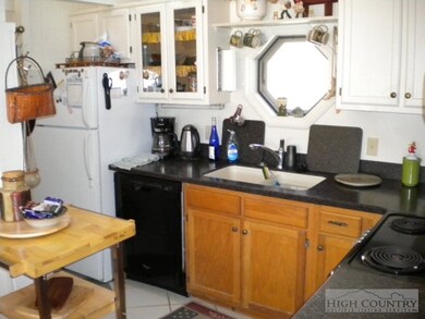 250 Caseys Gap Rd unit 5, Banner Elk, NC 28604 - photo 5