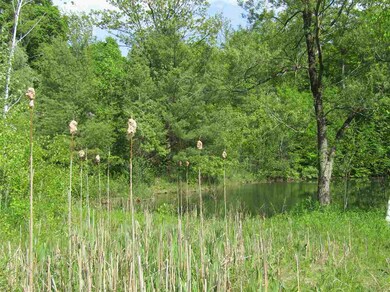 00 Morse Hill Rd, Dorset, VT 05251 - photo 4