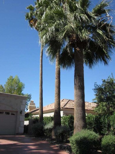 Beautiful Landscaping