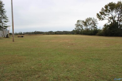 150 5th St NW, Sylvania, AL 35988 - photo 6