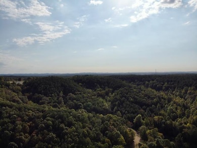 Hodges Cemetery Rd, Brookside, AL 35068 - photo 3