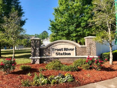 10511 Maidstone Cove Dr, Jacksonville, FL 32218 - photo 6