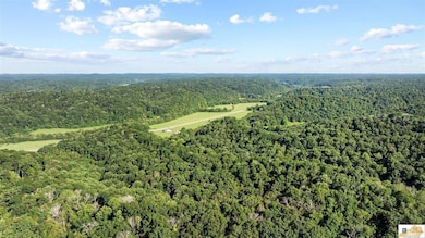 0 Crocus Creek Rd, Burkesville, KY 42717 - photo 5