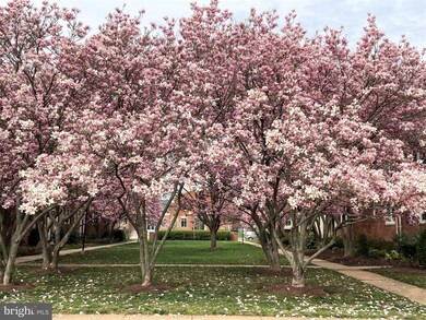 1505 Belle View Blvd unit A2, Alexandria, VA 22307 - photo 2