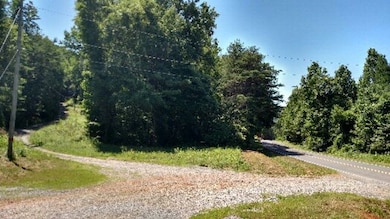 00 Dennis Mill Rd, Chatsworth, GA 30705 - photo 2