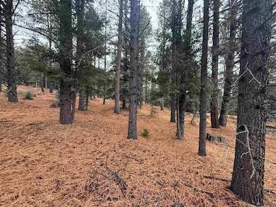 Lot 37 Valle Grande Trail, Angel Fire, NM 87710 - photo 3