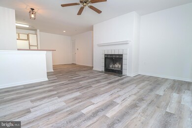 4409 Silverbrook Ln unit I101, Owings Mills, MD 21117 - photo 5