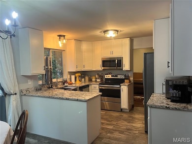 4606 Hickory Ridge View Ct, Eureka, MO 63025 - photo 3