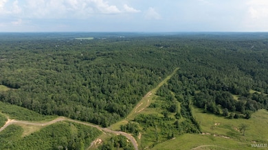 0 Wilkinson Rd, Fayette, AL 35555 - photo 3