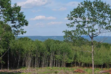 210 Ridge Rd unit 3, New Durham, NH 03855 - photo 5