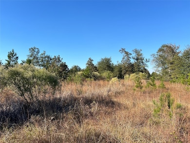 3711 Felix Currie Rd, Point Blank, TX 77364 - photo 2