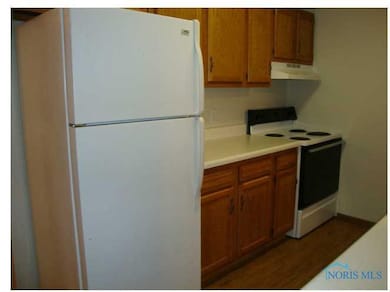 725 E Jackson St, West Unity, OH 43570 - photo 7