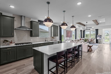 617 Dayflower Ln, New Braunfels, TX 78132 - photo 4