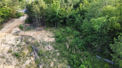 0 Mcentire Cir unit 1374076, Chatsworth, GA 30705 - photo 5