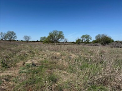 View of local wilderness with a rural view