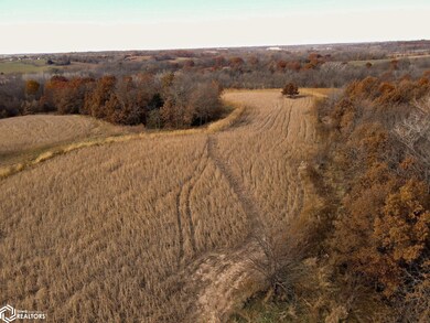 31914 165th St, Floris, IA 52560 - photo 4