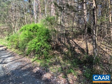 0 Rockfish Woods Cir unit 651445, Scottsville, VA 24562 - photo 3