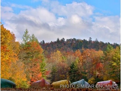 Autumnal colors over lake