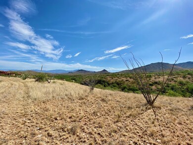 4 - Views of Charron Vineyards
