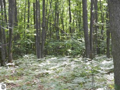 NA Canton Trail, West Branch, MI 48661 - photo 5