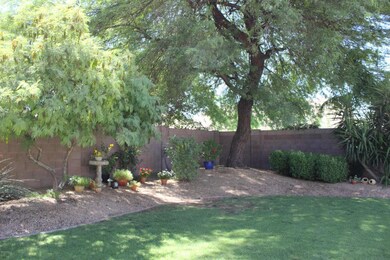 4123 E LARIAT LN COOL BACK YARD