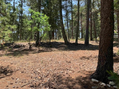 7 Timber Wolf unit 6 &24, Mayhill, NM 88339 - photo 3