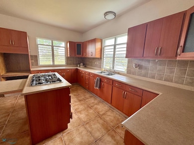 Km 1.1 Carr 802, Corozal, PR 00783 - photo 3