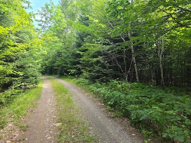 0 Ackley Pond Rd unit 5 24266409, Mount Chase, ME 04765 - photo 6