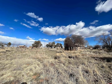 51654 Highway 491, Cahone, CO 81324 - photo 4