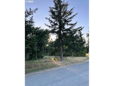 78412 Snauer Ln, Cottage Grove, OR 97424 - photo 3