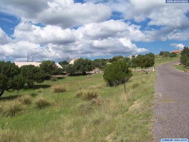 xxx Rosewood Cir, Silver City, NM 88061 - photo 3