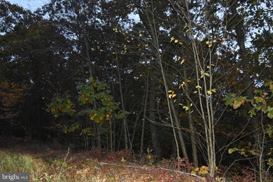 0 Hobbie, Drums, PA 18222 - photo 4