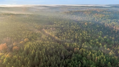 0000 Mount Carmel Rd, Millport, AL 35586 - photo 3