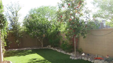 Backyard1