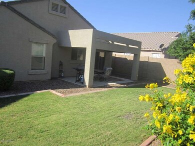 Back Yard 2